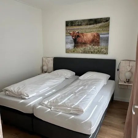 Heerlijke Vakantiehuisjes In Egmond